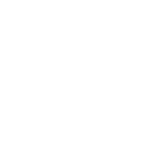Sustainability Growth Engine